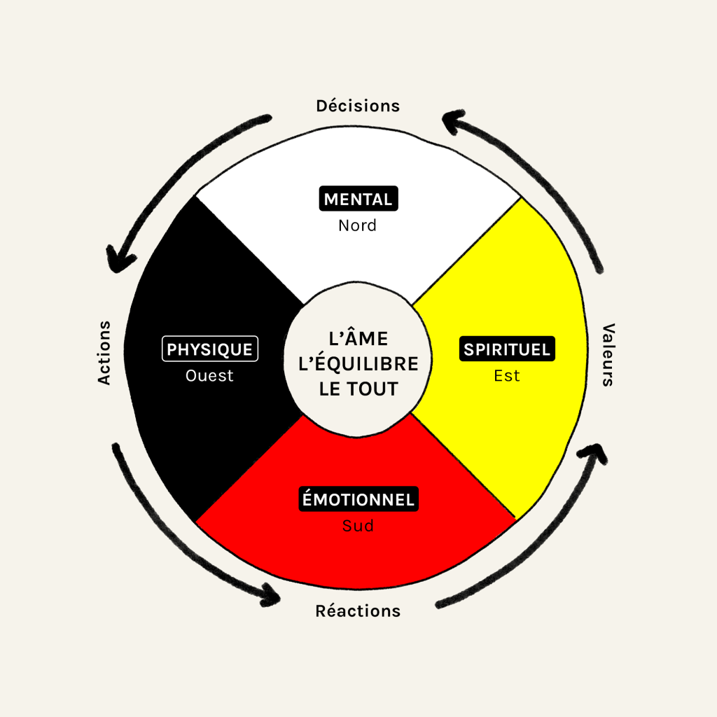 Cette image représente la roue de la médecine. 