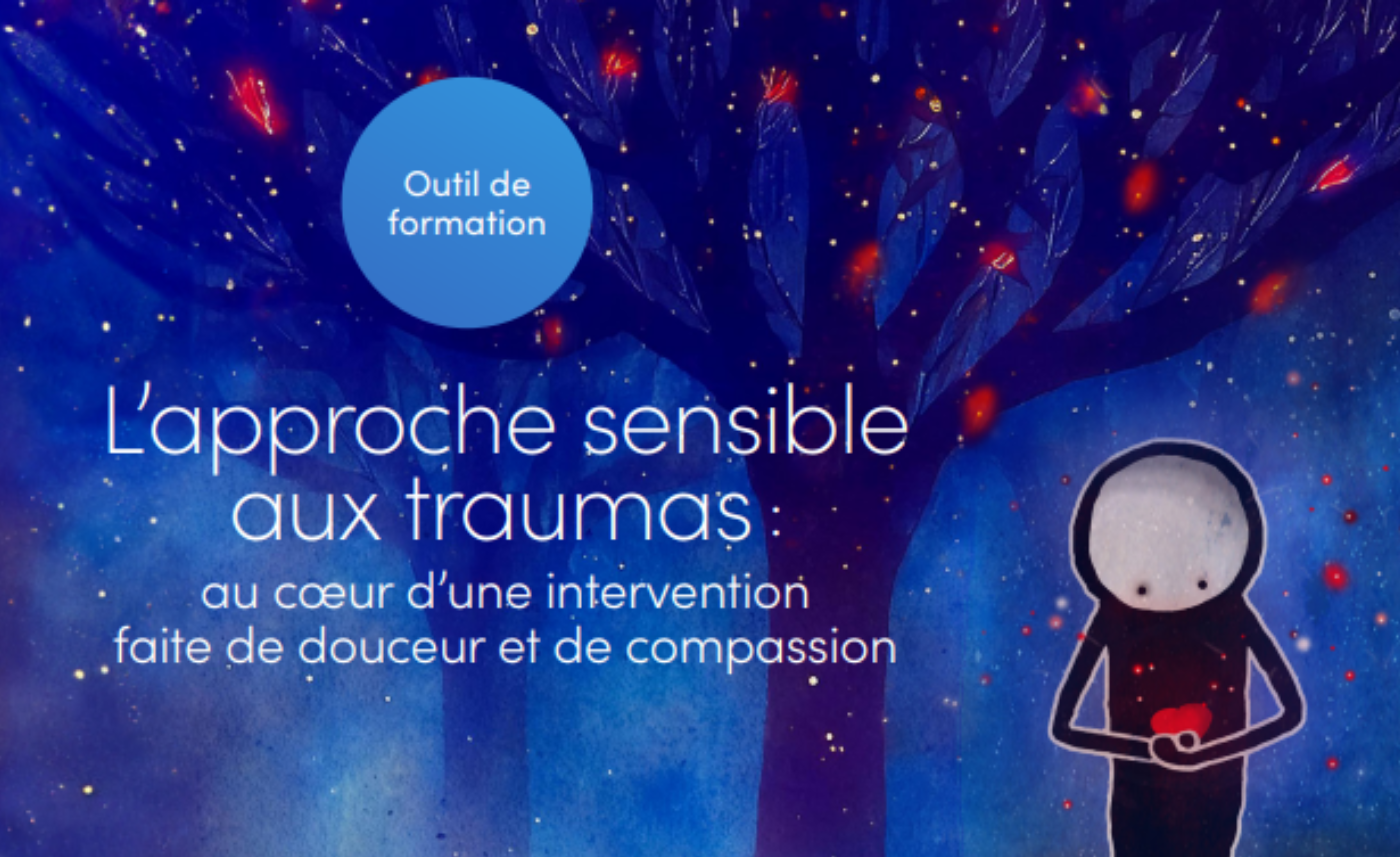 Photo de Formation : L’approche sensible aux traumas