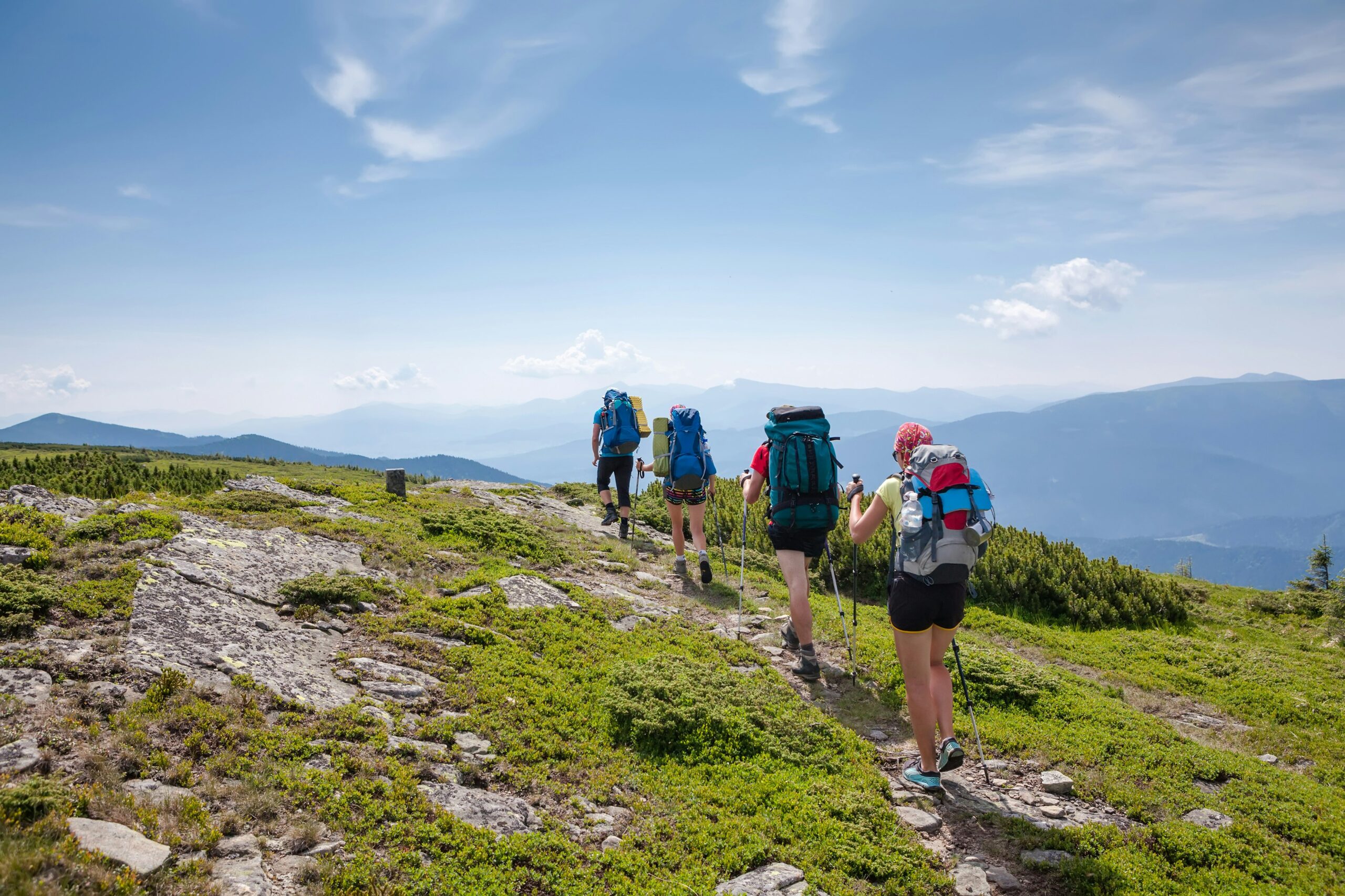 Photo de The “Aventure Vert Soi” program at the Université du Québec à Chicoutimi